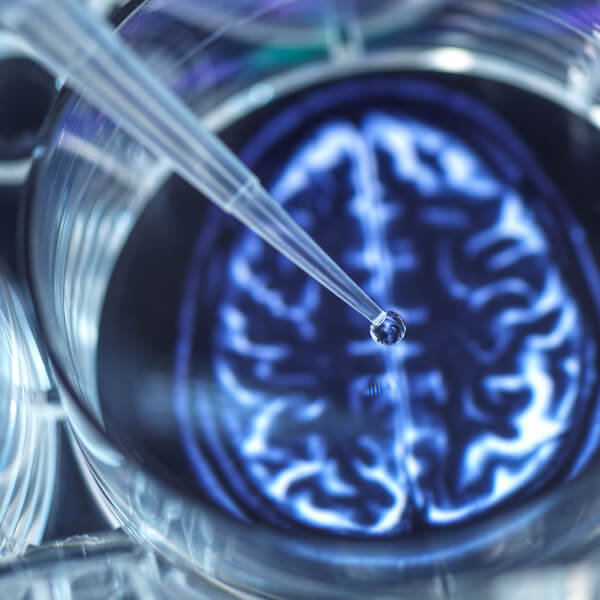 The Whole Truth About Methylene Blue